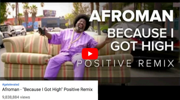 Afroman 'Because I Got High'